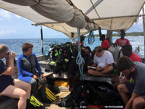 Ausfahrt mit Tauchboot - Mafia Diving